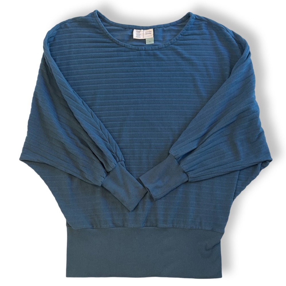 Anthropologie Saturday Sunday Velour Dolman Sleeve Sweater Blue XS